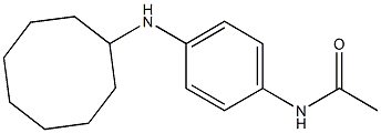 N-[4-(cyclooctylamino)phenyl]acetamide 구조식 이미지