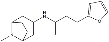 N-[4-(furan-2-yl)butan-2-yl]-8-methyl-8-azabicyclo[3.2.1]octan-3-amine Structure