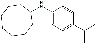 N-[4-(propan-2-yl)phenyl]cyclooctanamine Structure