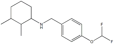 N-{[4-(difluoromethoxy)phenyl]methyl}-2,3-dimethylcyclohexan-1-amine 구조식 이미지