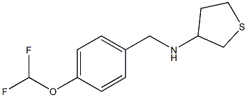 N-{[4-(difluoromethoxy)phenyl]methyl}thiolan-3-amine Structure