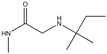 N-methyl-2-[(2-methylbutan-2-yl)amino]acetamide Structure