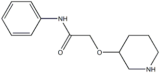 N-phenyl-2-(piperidin-3-yloxy)acetamide Structure