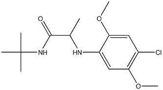 N-tert-butyl-2-[(4-chloro-2,5-dimethoxyphenyl)amino]propanamide Structure