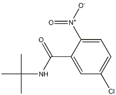 N-tert-butyl-5-chloro-2-nitrobenzamide 구조식 이미지