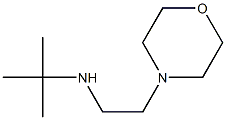 tert-butyl[2-(morpholin-4-yl)ethyl]amine Structure
