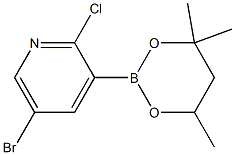 5-Bromo-2-chloro-3-(4,4,6-trimethyl-1,3,2-dioxaborinan-2-yl)pyridine 구조식 이미지