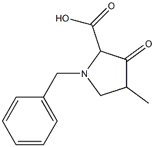 1-benzyl-4-methyl-3-oxopyrrolidine-2-carboxylic acid 구조식 이미지