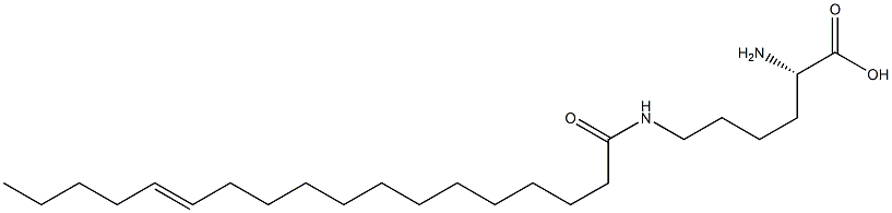 N6-(13-Octadecenoyl)lysine Structure