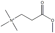 N,N,N-Trimethyl-3-methoxy-3-oxo-1-propanaminium Structure