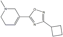3-Cyclobutyl-5-[(1,2,5,6-tetrahydro-1-methylpyridin)-3-yl]-1,2,4-oxadiazole 구조식 이미지