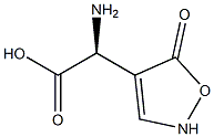 (S)-2-[(2,5-Dihydro-5-oxoisoxazol)-4-yl]-2-aminoacetic acid Structure