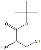 L-Cysteine tert-butyl ester 구조식 이미지