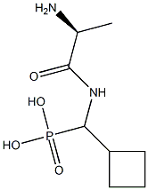 [(L-Alanylamino)(cyclobutyl)methyl]phosphonic acid 구조식 이미지