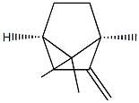 (1S,4R)-2-Methylenebornane 구조식 이미지