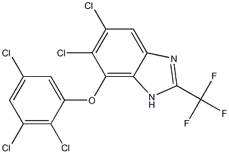 5,6-Dichloro-7-(2,3,5-trichlorophenoxy)-2-trifluoromethyl-1H-benzimidazole Structure