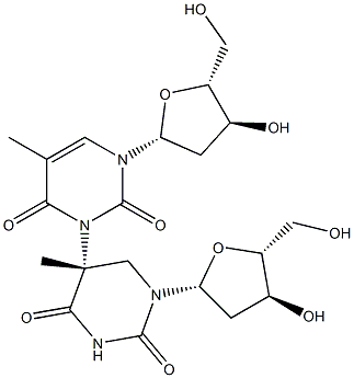 (5R)-5-(Thymidin-3-yl)-5,6-dihydrothymidine Structure