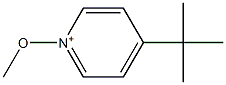 4-tert-Butyl-1-methoxypyridin-1-ium 구조식 이미지