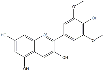 3,4',5,7-Tetrahydroxy-3',5'-dimethoxyflavylium 구조식 이미지