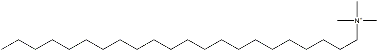 Docosyltrimethylaminium Structure