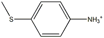 p-(Methylthio)anilinium 구조식 이미지