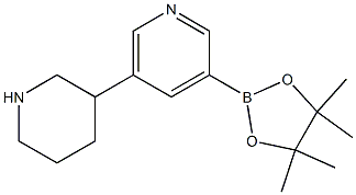 3-(4,4,5,5-tetraMethyl-1,3,2-dioxaborolan-2-yl)-5-(piperidin-3-yl)pyridine 구조식 이미지