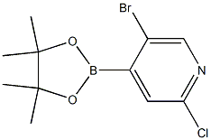 5-Bromo-2-chloro-4-(4,4,5,5-tetramethyl-1,3,2-dioxaborolan-2-yl)pyridine Structure