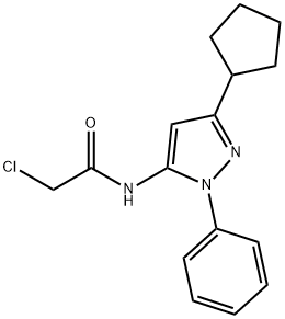 2-CHLORO-N-(3-CYCLOPENTYL-1-PHENYL-1H-PYRAZOL-5-YL)ACETAMIDE Structure