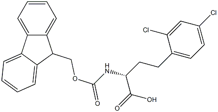 Fmoc-2,4-dichloro-D-homophenylalanine Structure