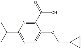 5-(cyclopropylmethoxy)-2-(propan-2-yl)pyrimidine-4-carboxylic acid Structure