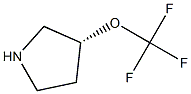 (R)-3-(trifluoromethoxy)pyrrolidine Structure