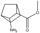 methyl 3-aminobicyclo[2.2.1]heptane-2-carboxylate Structure