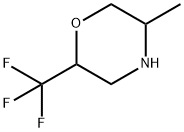 5-methyl-2-(trifluoromethyl)morpholine 구조식 이미지