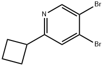 3,4-Dibromo-6-cyclobutylpyridine Structure