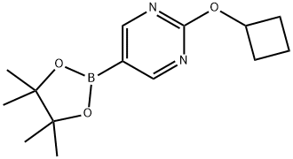 2-cyclobutoxy-5-(4,4,5,5-tetramethyl-1,3,2-dioxaborolan-2-yl)pyrimidine Structure