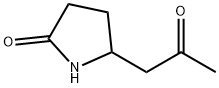 5-(2-oxopropyl)pyrrolidin-2-one Structure