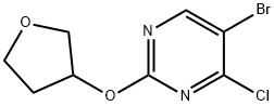 4-Chloro-5-bromo-2-(tetrahydrofuran-3-yloxy)pyrimidine Structure