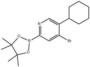 4-Bromo-5-(cyclohexyl)pyridine-2-boronic acid pinacol ester Structure