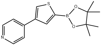 4-(4-Pyridyl)thiophene-2-boronic acid pinacol ester Structure