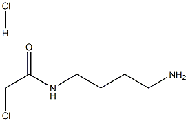 N-(4-aminobutyl)-2-chloroacetamide hydrochloride Structure