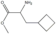methyl 2-amino-3-cyclobutylpropanoate Structure