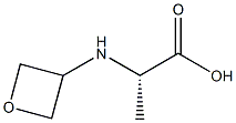 oxetan-3-ylalanine Structure