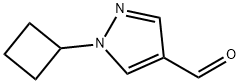 1-cyclobutyl-1H-pyrazole-4-carbaldehyde 구조식 이미지