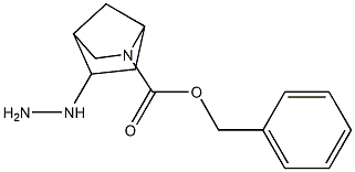 benzyl 5-hydrazinyl-2-azabicyclo[2.2.1]heptane-2-carboxylate Structure