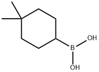 (4,4-dimethylcyclohexyl)boronic acid Structure