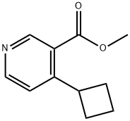 Methyl 4-cyclobutylpyridine-3-carboxylate 구조식 이미지