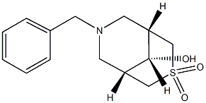 (1R,5S,9s)-7-benzyl-9-hydroxy-3-thia-7-azabicyclo[3.3.1]nonane 3,3-dioxide Structure