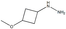 (3-methoxycyclobutyl)hydrazine Structure