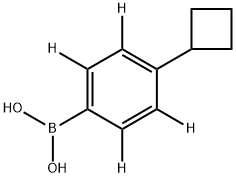 4-Cyclobutyl(phenyl-d4)-boronic acid Structure