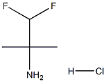 1,1-difluoro-2-methylpropan-2-amine hydrochloride Structure